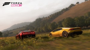 Forza Horizon 2 Xbox one course dans les prés