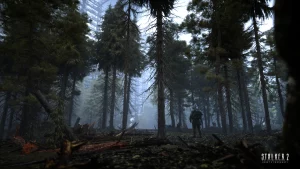 Stalker 2 forêt