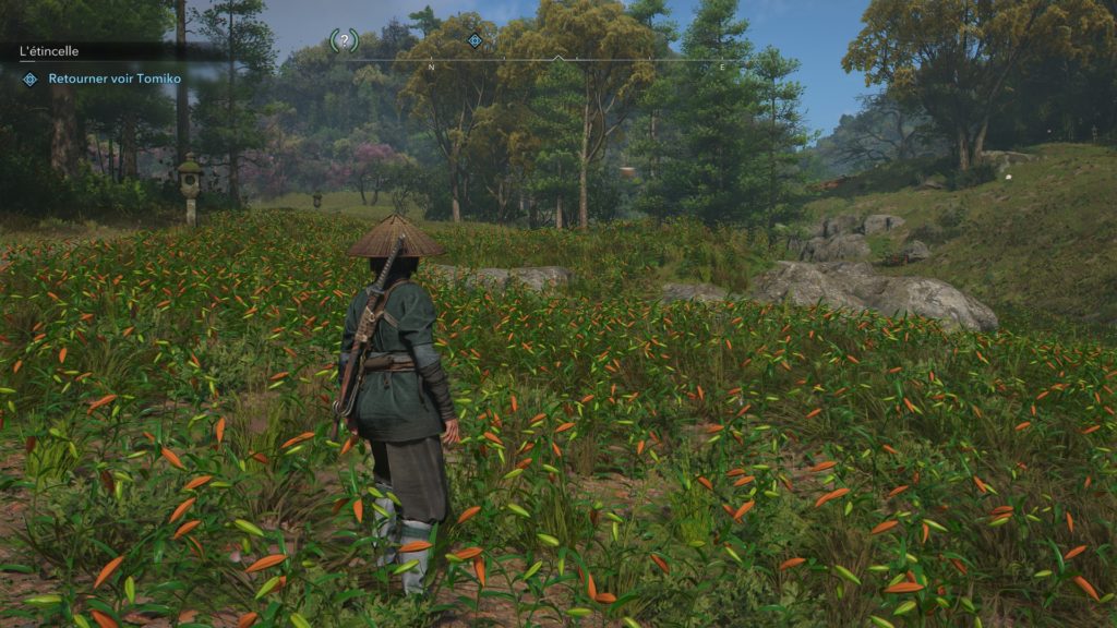 Assassin's Creed Shadows décors