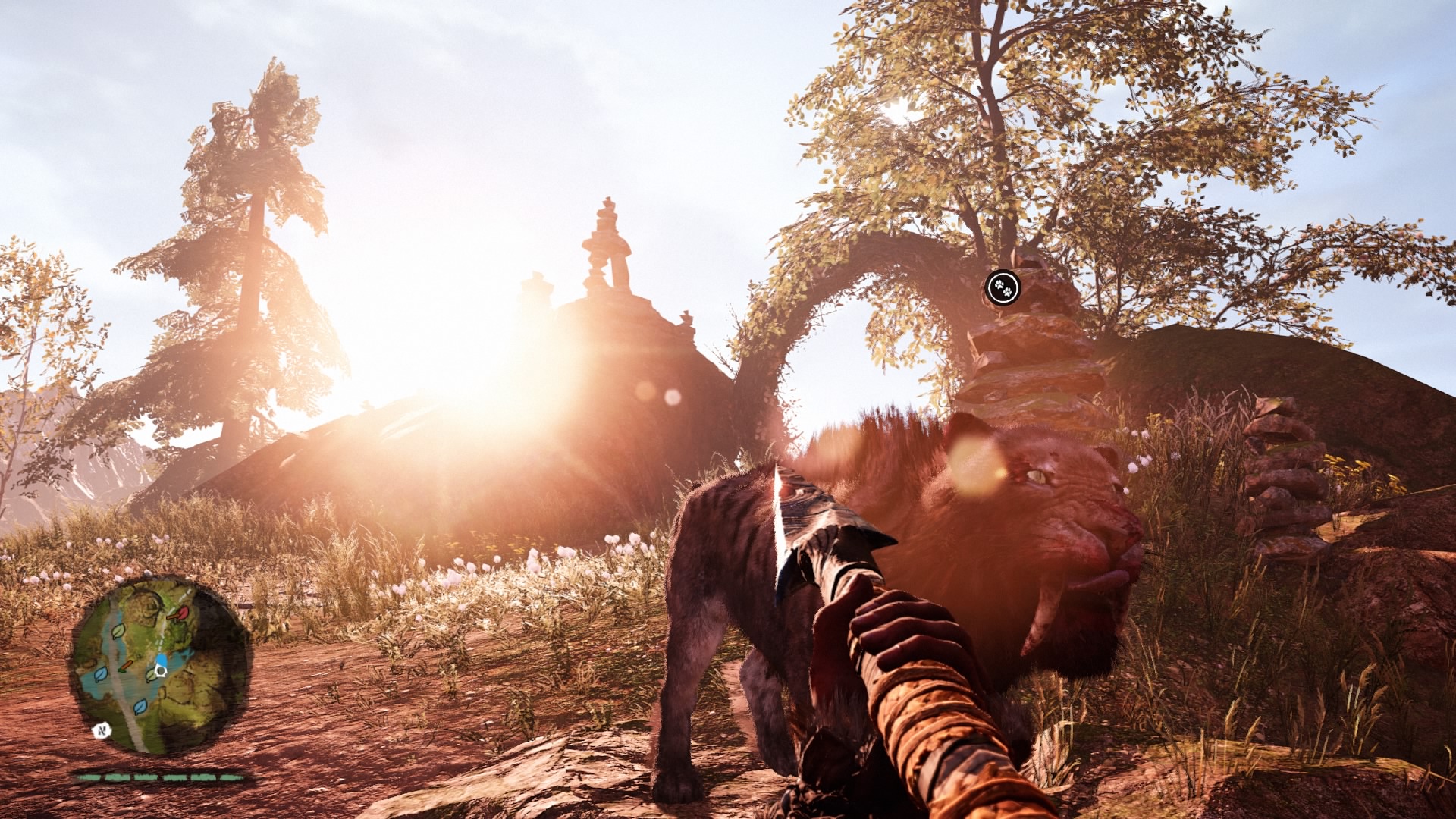 Quel beau soleil... oh look! A Tiger!