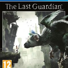 De la nécessité de la trichotillomanie [The Last Guardian, PS4]