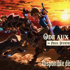 Profondeur de chant [Ode aux Prodiges, (DLC) Zelda Breath of the Wild, Switch]