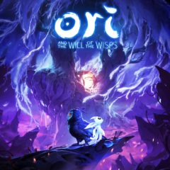 On va finir par y orriver [ Ori and the Will of the Wisps, Xbox One ]