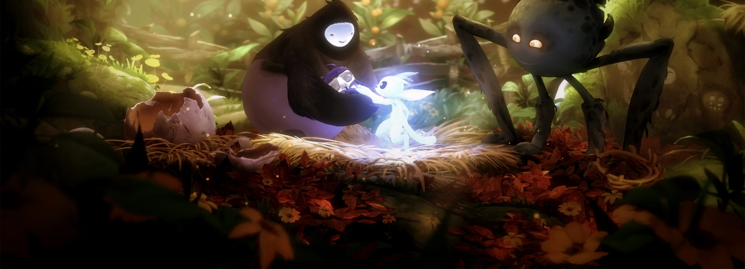 ori and the will of the wisps entête