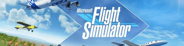 Flight simulator 2020