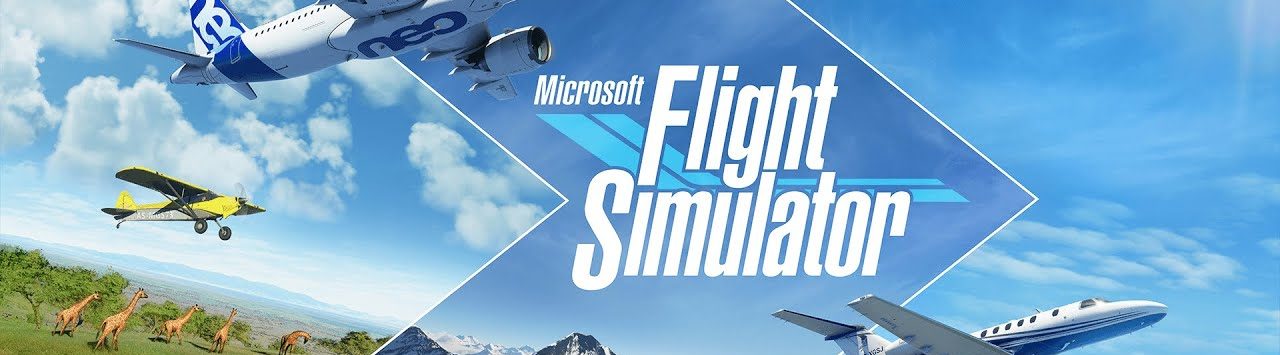 Flight simulator 2020