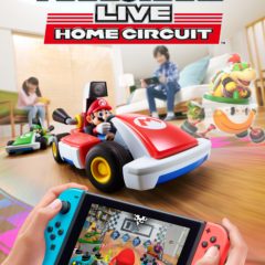 Mirage bien négocié [Mario Kart Live Home Circuit]